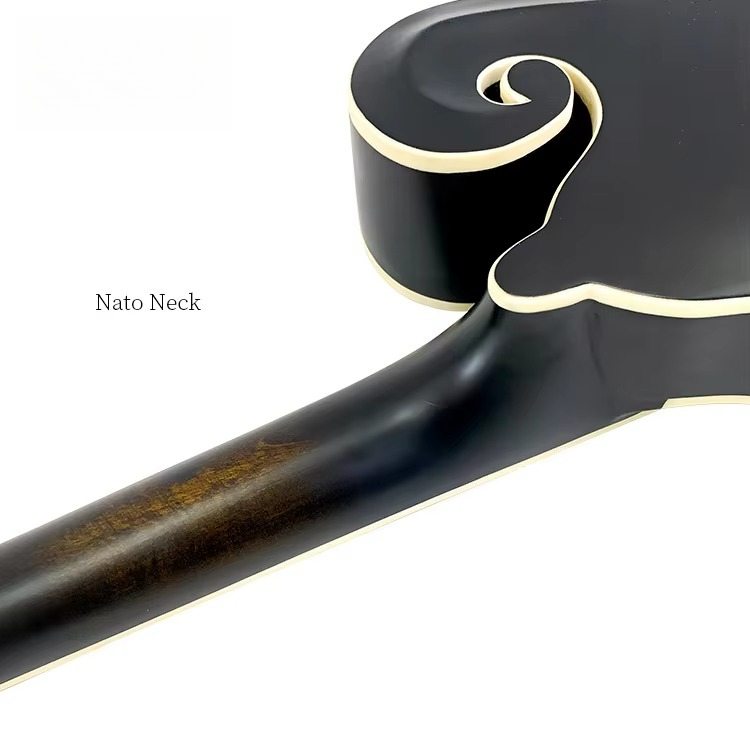 Instrumento de bandolim com ac - Mandolin A Style avaliação e preço