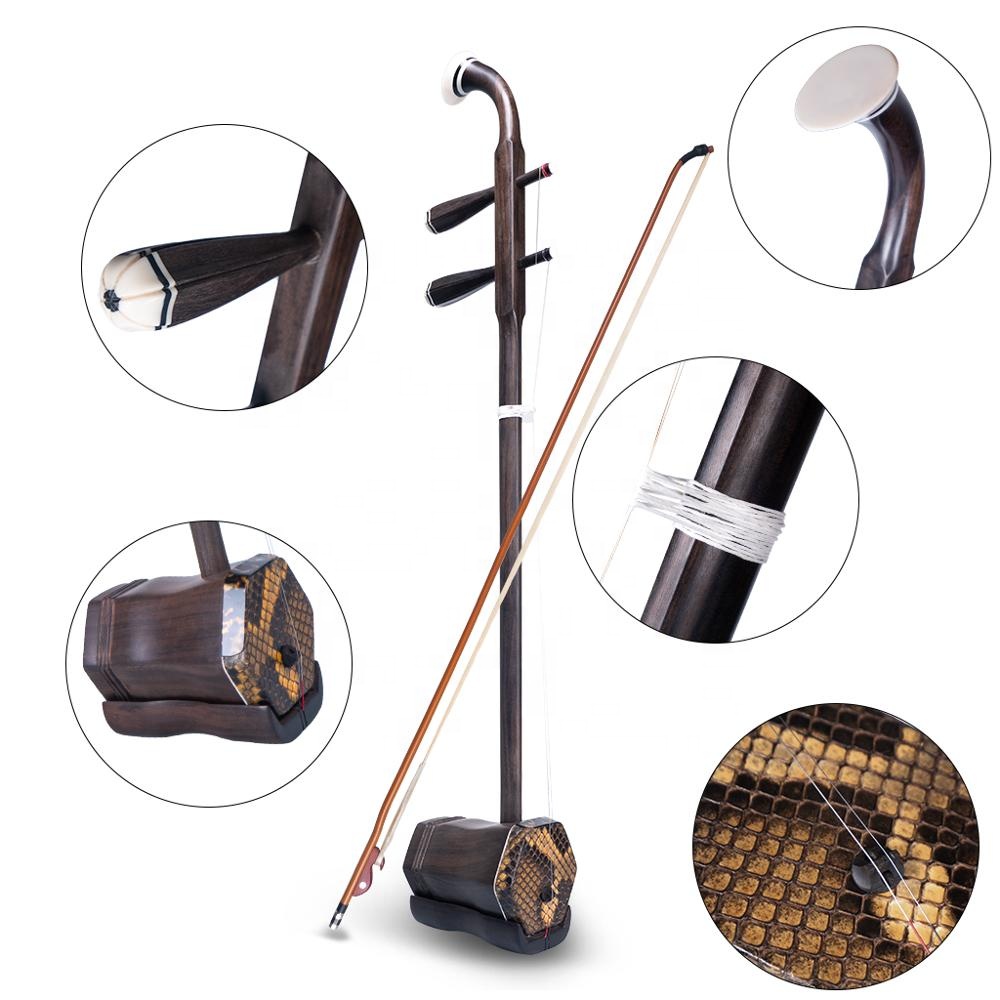 Erhu avançado artistas mestre  - Musical Instrument Fiddle avaliação e preço